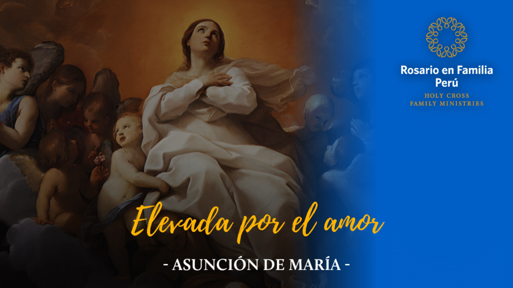 Elevada por el Amor