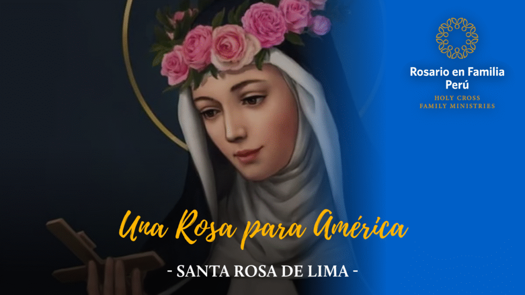Una Rosa para América