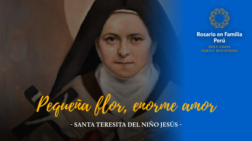 Pequeña flor, enorme amor
