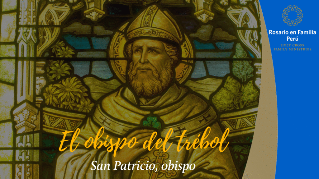 El obispo del trébol