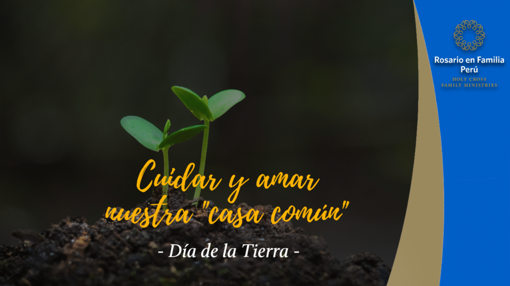 Cuidar y amar nuestra «casa común»